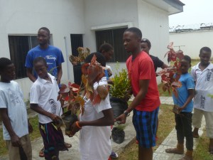 New plants for planting