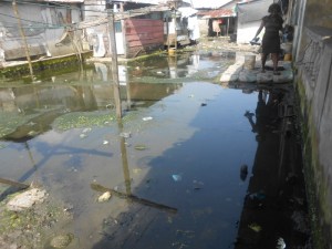 A water-logged environment